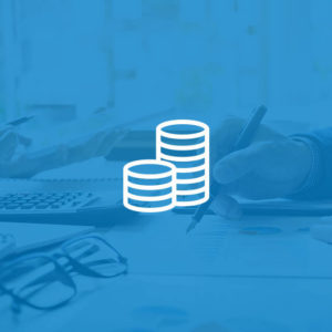 Finance & Budgeting Level 2