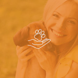 Pet Care Diploma Level 3