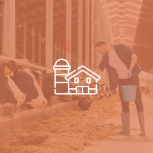 Poultry, Goat, Bee & Worm Farming Diploma Level 3