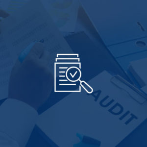 Level 2 Certificate in Audit Skills