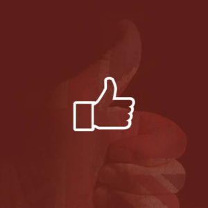 British Sign Language Level 1 & 2