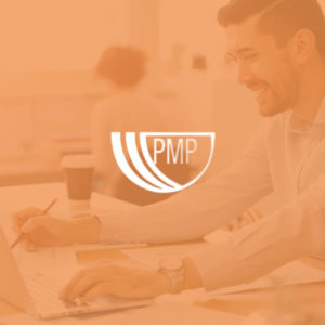 Project Management Professional (PMP)® Exam Training Course