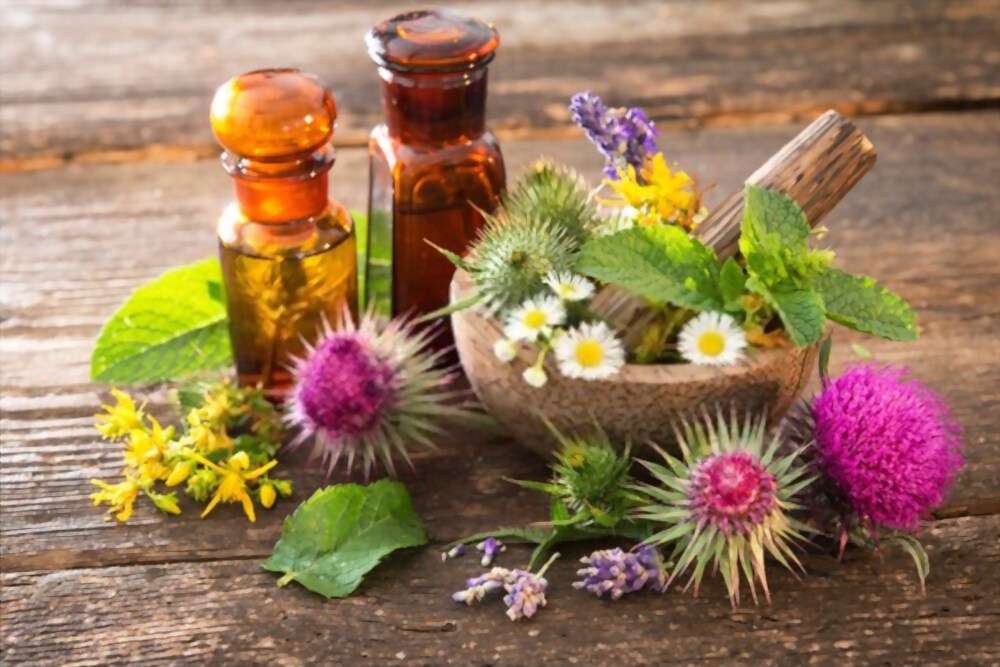 Homeopathy for holistic therapy
