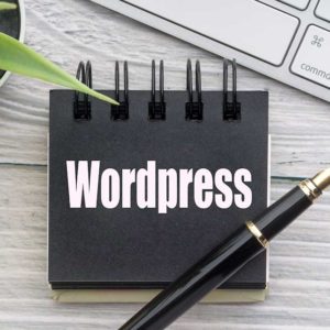 WordPress for Beginners: Design a Blog with Zero Coding