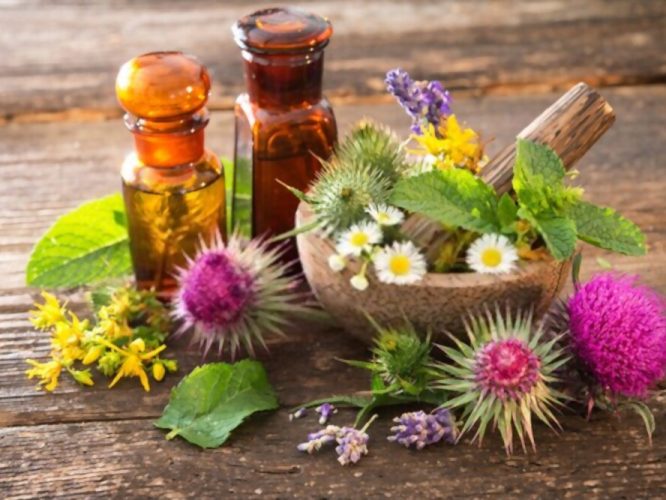 Homeopathy for holistic therapy